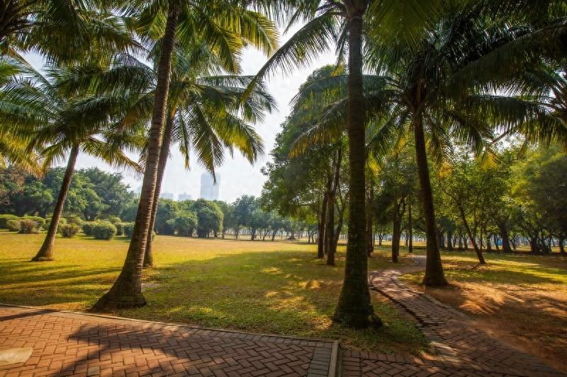 万绿园，海口市最大的开放性热带海滨生态园林风景区