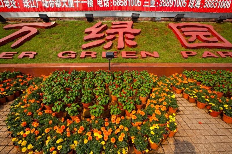 万绿园，海口市最大的开放性热带海滨生态园林风景区