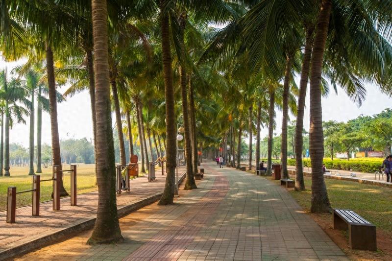 万绿园，海口市最大的开放性热带海滨生态园林风景区