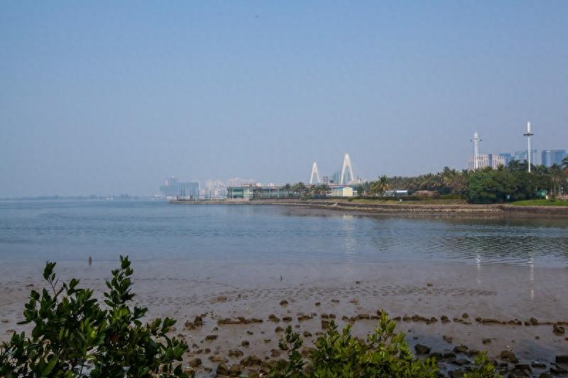 万绿园，海口市最大的开放性热带海滨生态园林风景区