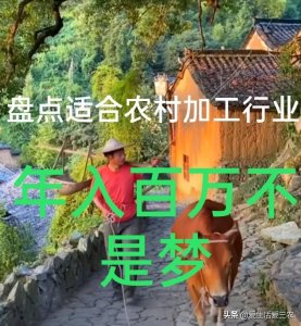 ​分享7大农村加工行业，想在农村开厂的来看看，附带详细方法！
