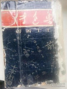 ​民国版《鲁迅传》：第一部完整的鲁迅传记