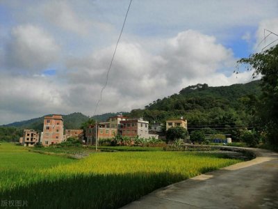 ​村两委新规，下一届选举，注重人才选拔，农民了解怎么选了吗