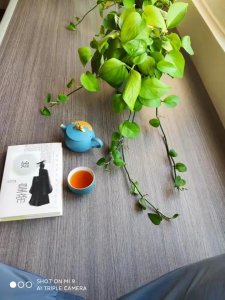 ​秦始皇简介