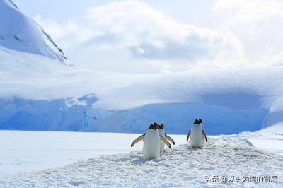 ​南极共有多少科考站，都是哪些国家建立的，俄国最多、我国第四