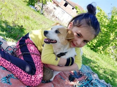 ​全村没有一个兽医，女孩背着爱犬在积雪中徒步3公里，为狗狗治病