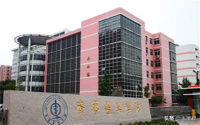 ​考上齐鲁医药学院，学费太贵，要不要去？