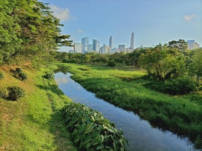 ​深圳中心公园，感受大自然的宁静与美丽相结合，让人流连忘返