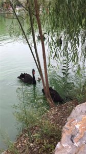 ​洛阳旅游攻略-游马蹄泉，经济实惠又好玩