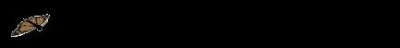​爱你，从未后悔，余生，有你足矣