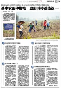 ​南国早报十大有影响力新闻之农田种果：未强制拔除果苗