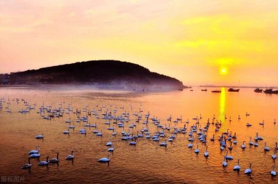 ​荣成必去的三个景点，海边动物园、中国好望角……来次快乐游吧