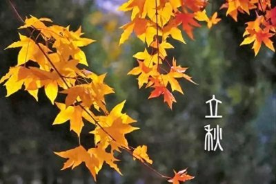 ​8月7号立秋，立秋要“啃秋”，什么是啃秋，啃的是个啥？别不懂吃