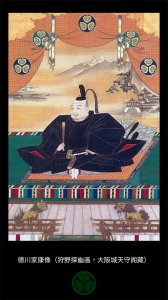 ​幕府将军（一）：江户时代的开创者，德川家康