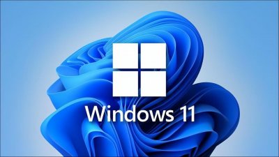​Win11专业版和家庭版有什么区别？哪个更好？网速更快？该怎么选