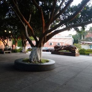 ​简单说说福报是什么