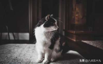 ​九个小妙招，让男人离不开你