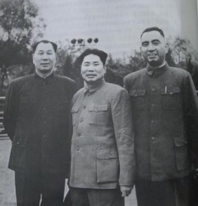 ​杨姓历史上的名人有哪些(杨姓最有名的历史人物)