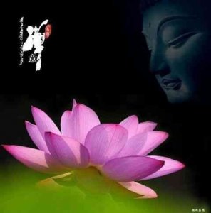​不负光阴不负卿什么意思（原句是出自哪里）