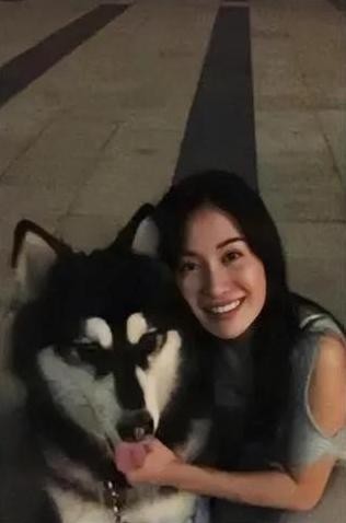 李依晓被叶璇的狗咬（李依晓被狗咬伤提告讨公道）(9)