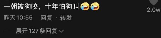 李依晓被叶璇的狗咬（李依晓被狗咬伤提告讨公道）(2)