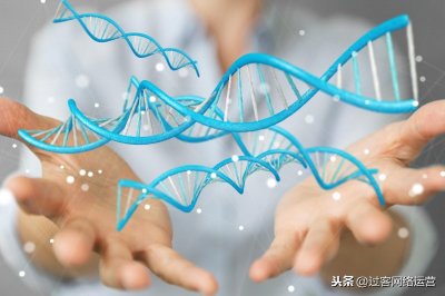 ​反射弧的组成部分(反射弧包括哪五个部分)