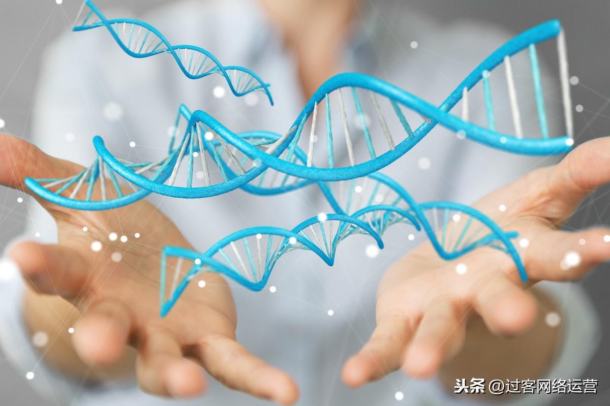 反射弧的组成部分(反射弧包括哪五个部分)
