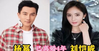 ​娱乐圈离婚的明星夫妻都有哪些(有几对明星夫妻离婚了)