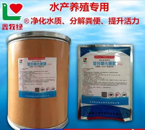 硝化细菌有什么作用鱼缸