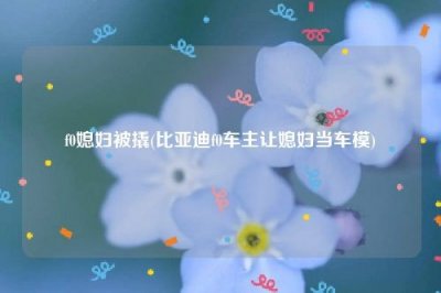 ​f0媳妇被撬(比亚迪f0车主让媳妇当车模)