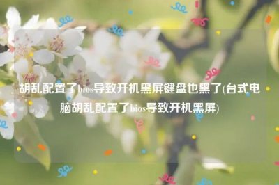 ​胡乱配置了bios导致开机黑屏键盘也黑了(台式电脑胡乱配置了bios导致开机黑屏)