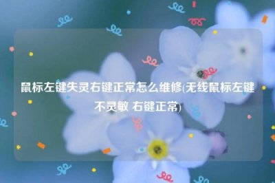 ​鼠标左键失灵右键正常怎么维修(无线鼠标左键不灵敏 右键正常)