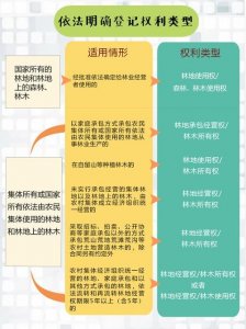 ​林权的认定标准是什么 林权的涵义壹