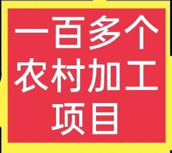 ​农村办厂好项目推荐（适合农村发展的加工项目大分享）