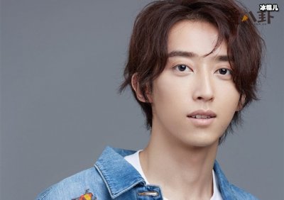 ​刘畅个人演艺经历起底，起外号为什么叫木法沙？