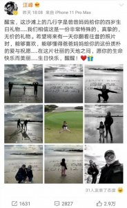 ​汪峰为醒醒庆生（章子怡挺孕肚出镜与汪峰为醒醒庆生）