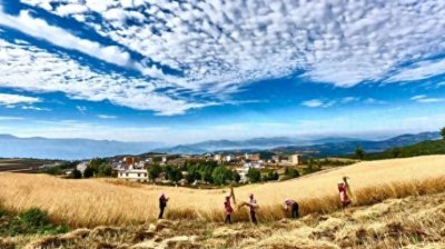 ​卞毓方：在红土地上，遭遇“网红爷爷”