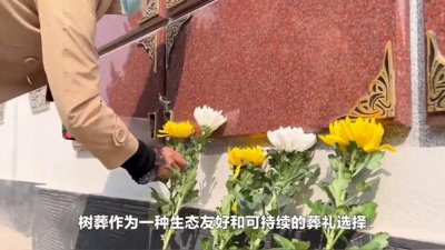 ​什么是树葬？树葬是怎么葬的？#民间传说