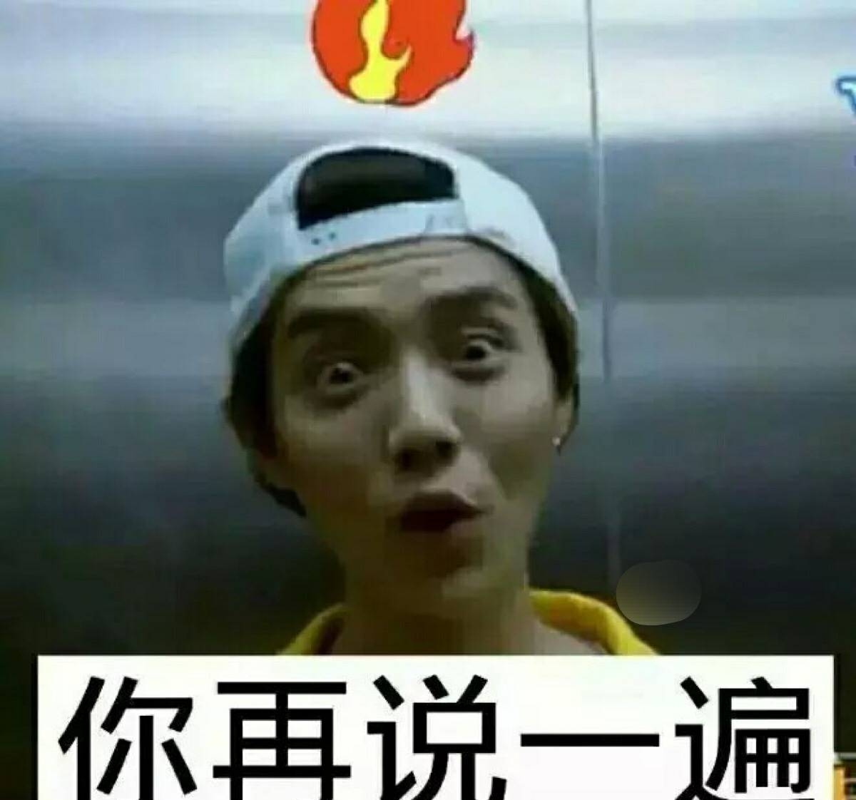 陈数是鹿晗的什么人(鹿晗妈妈家是陈数吗)  第5张