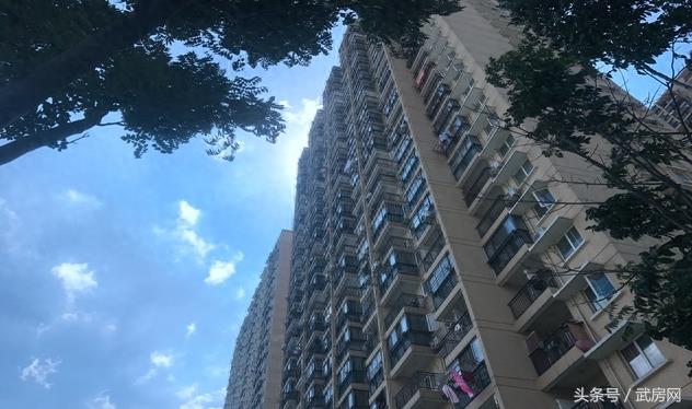 实采谌家矶｜长江新城露初容，展现不一样的风景