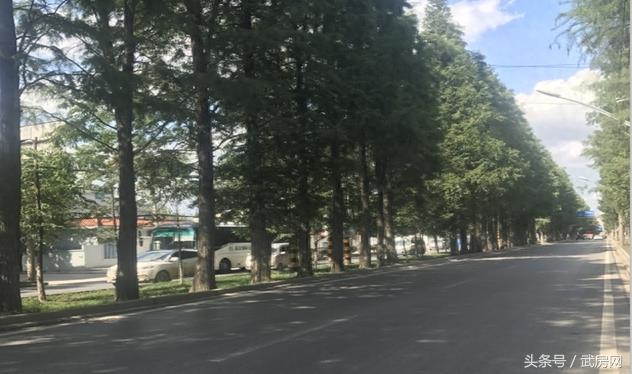 实采谌家矶｜长江新城露初容，展现不一样的风景