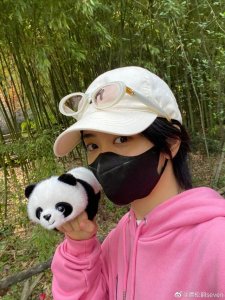 ​谭松韵逛动物园看大熊猫 穿粉色卫衣与玩偶合影可爱治愈