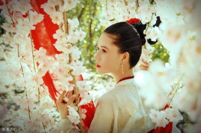 ​小说：她被丞相府收养，成了风华万千二小姐，还想跟生母图谋不轨