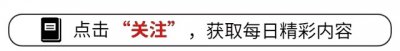 ​《血色樱花：二战后日本人口复苏背后的女性献祭》苦了日本女学生