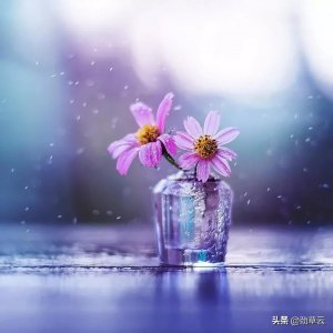 ​快乐是什么