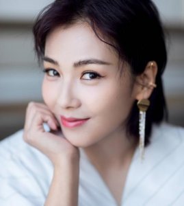​刘涛主演的所有古装戏（刘涛大宋宫词真敢水）