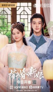 ​《替婚新娘》第9集剧情简介，第9集故事梗概