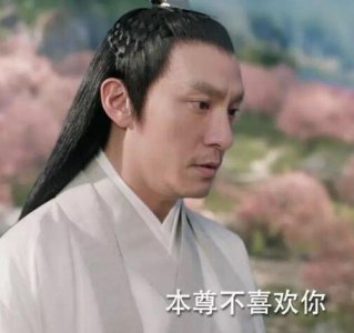 ​宸汐缘结局