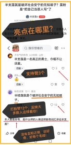 ​@半支莲 谁在贼喊捉贼，又当又立？