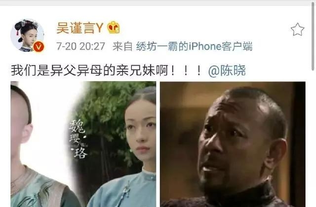 秦岚演过的电视剧(秦岚演过的全部电视剧) 秦岚 第2张